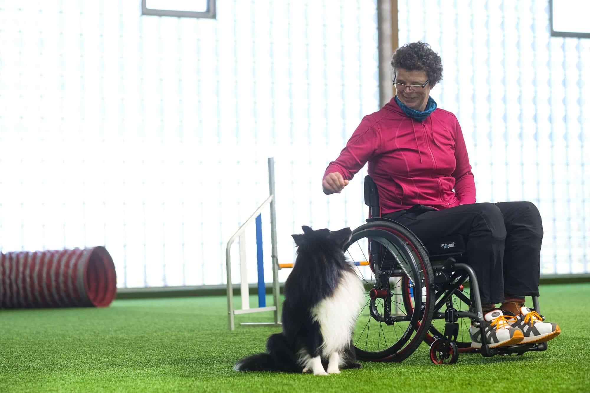 Lady sat in Quickie Life F Chair next to a collie dog